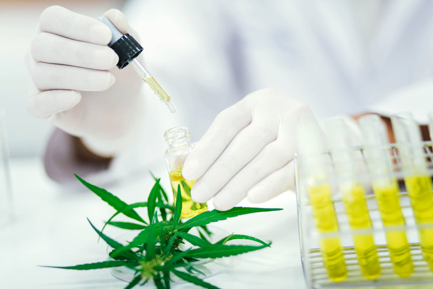 De Dietrich Process Systems oferece soluções completas para extração de CBD e THC